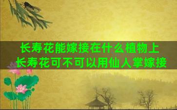 长寿花能嫁接在什么植物上 长寿花可不可以用仙人掌嫁接